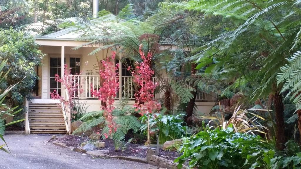 Healesville Bed & Breakfast | Myers Creek Cascades Luxury Cottages