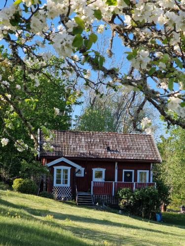 Trosa House | Mysigt boende nära hav och natur