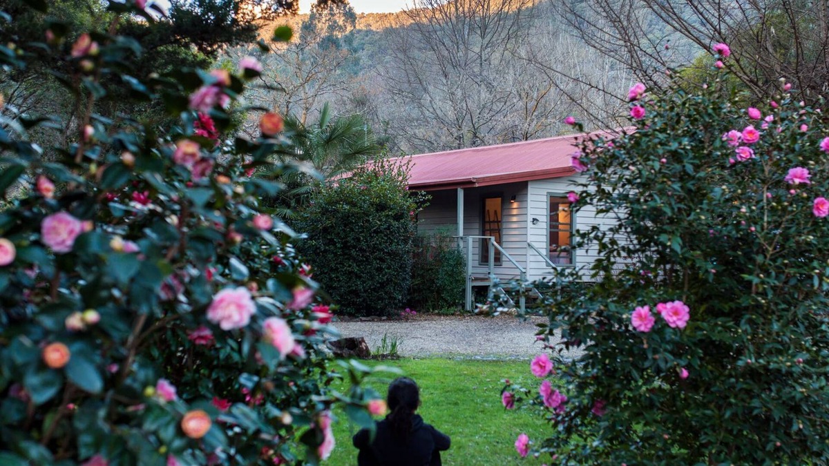 Wandiligong House | Mystical View Cottage