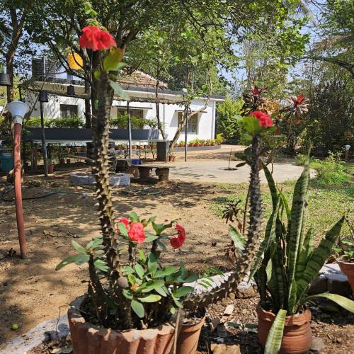 Piriyapatna House | Mysticgreens Home Stay