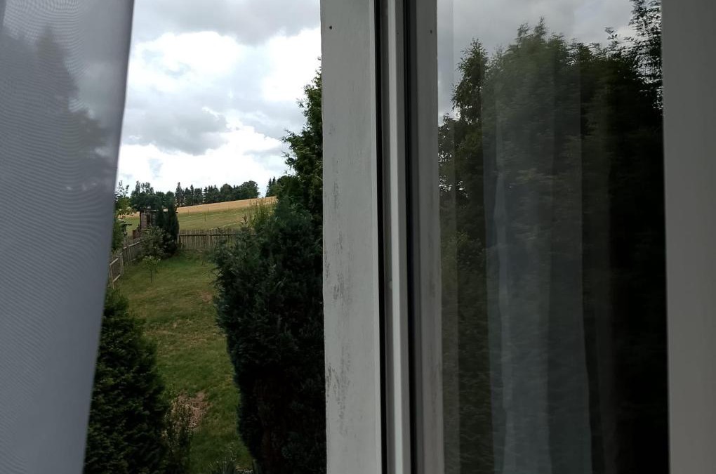 Auerbach Apartment | Nähe Plohn Park - FEWO mit großem Balkon und Gästezimmer Wiesnblick