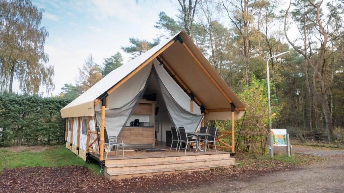 Mol Cabin | n/a