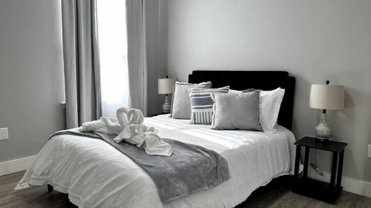 Albany Apartment | N E W Modern 1 Bedroom RARE Apt w office spacenn