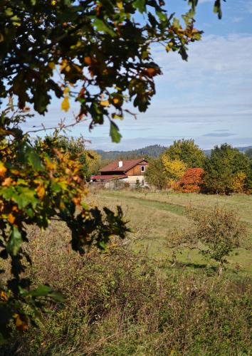 Nepomuk House | Na Samotě u tratě