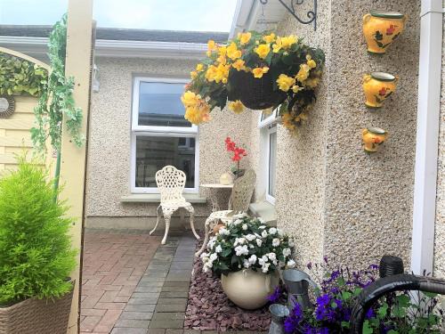 Naas Ski Chalet | Naas 2 Bedroom Back Garden Escape