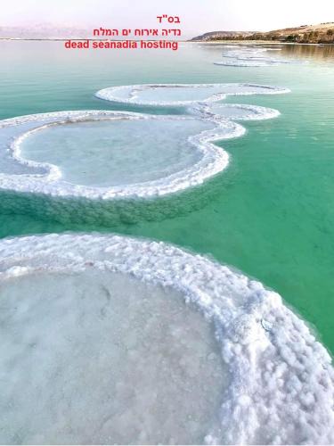 Neve Zohar Cabin | Nadia Hosting Dead Sea