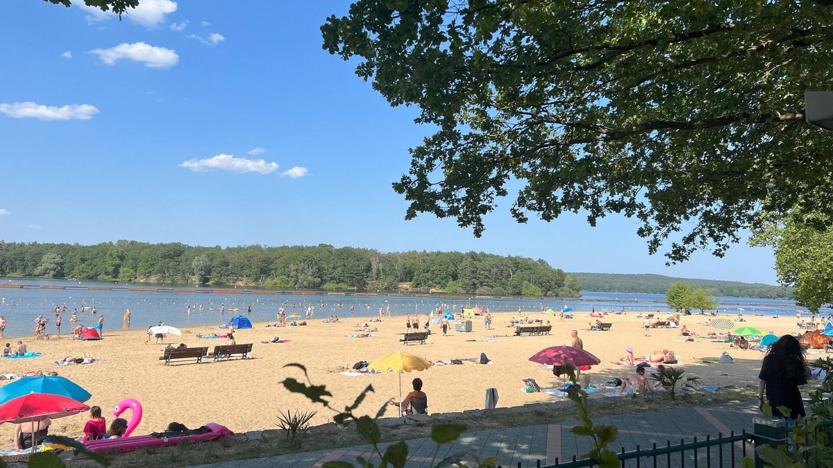 Center/Hamm-Bossendorf Apartment | Nahdran-haltern am See