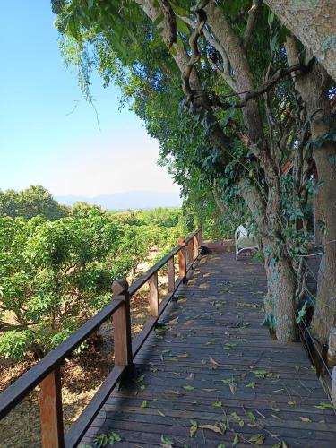 Phrao Other | Napahong forest camp