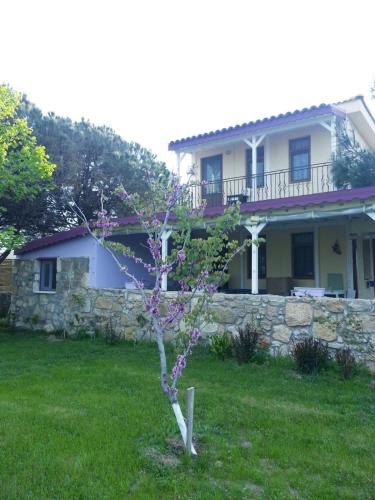 Bozcaada House | Nar Bağevi