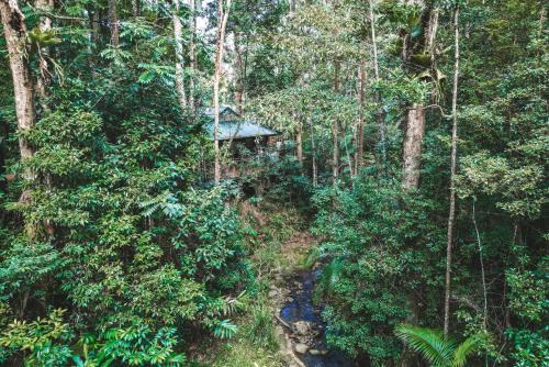 North Maleny Cabin | Narrows Escape Rainforest Retreat