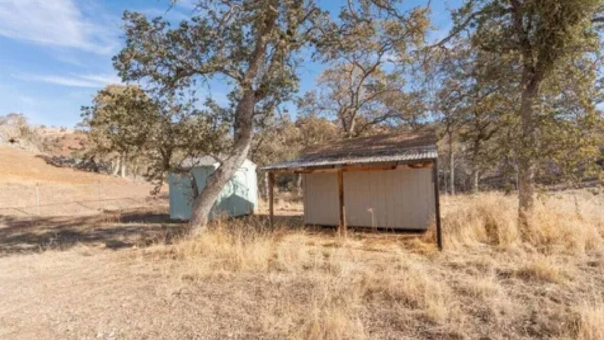 Squaw Valley House | National Park getaway Cozy small home on 5 acres.