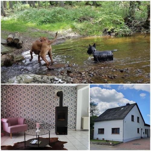 Borfink House | Nationalpark Ferienhaus SOPHIA-LUISA