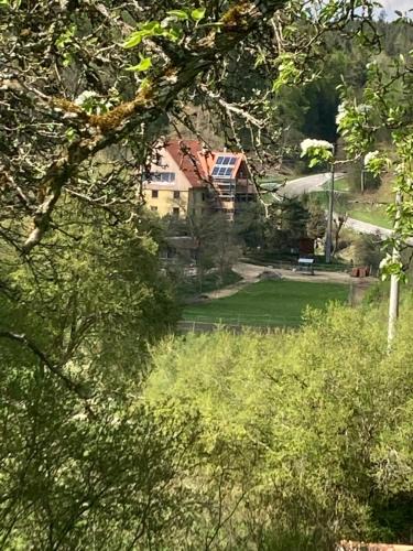 Immendingen Apartment | Natur Idylle mit Tieren in der Dachsmühle zwischen Bodensee und Schwarzwald
