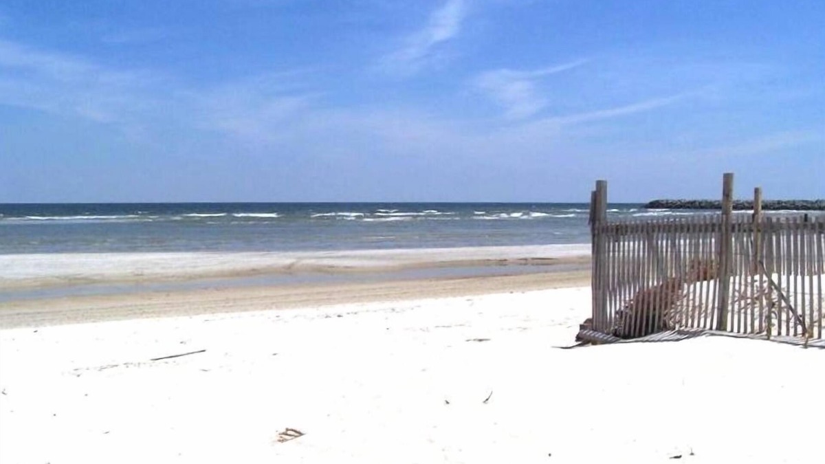 Cedar Island House | Natural High-Amazing Beach Getaway-Privacy, Easy Access, Kayaking, Boating