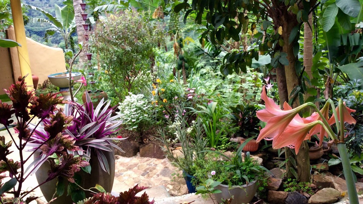 Deniyaya House | Natural Mystic Sanctuary - Valley View - Eco Lodge and Wildlife Reserve