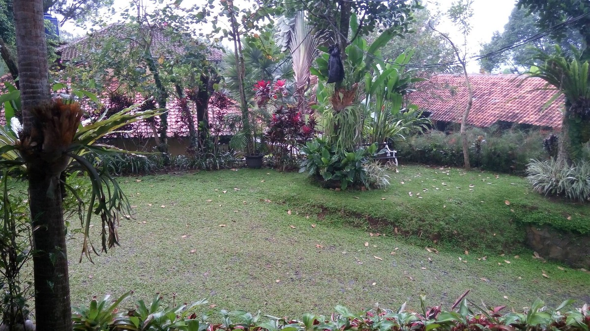 Bogor House | natural resort near bogor up to 150paxs