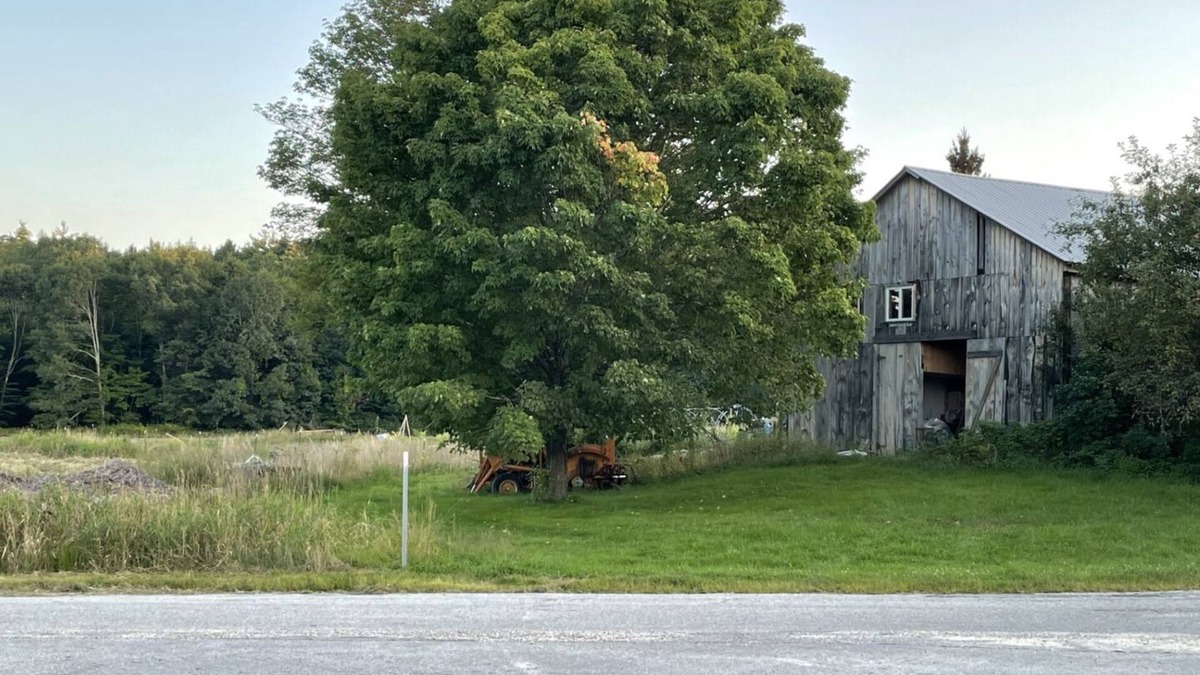 Andover Apartment | Nature Abounding- Central to 4 beautiful NH lakes!