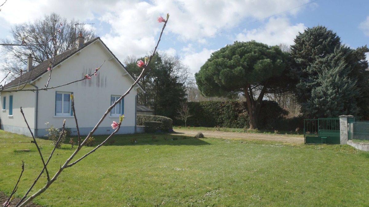 Fontguenand House | Nature and Quiet 20min Beauval ZooPark, Châteaux de la Loire ALL INCLUSIVE