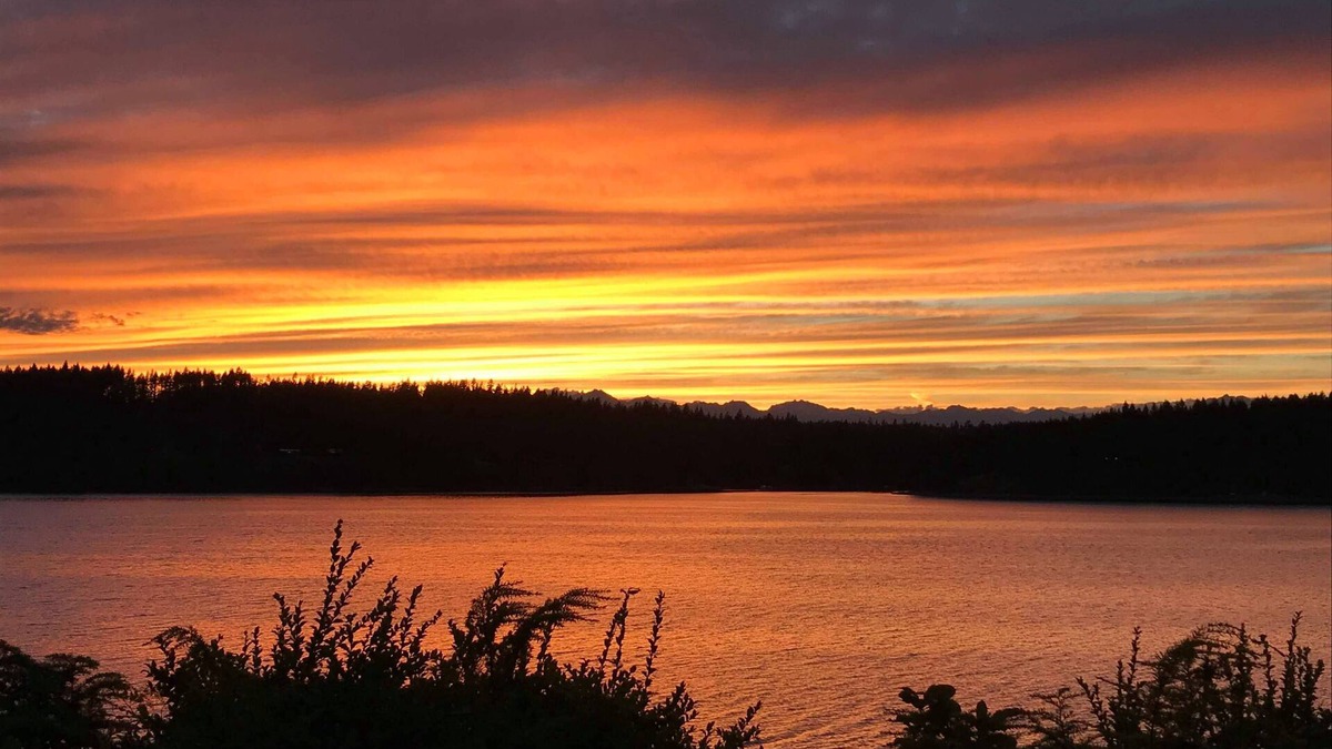 Burley House | Nature Awaits on Harstine Island!