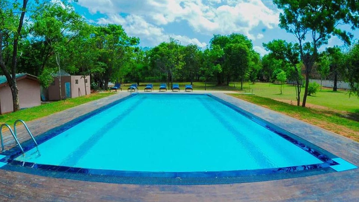Kimbissa Hotel | Nature Friendly Tree House Accommodation Near Sigiriya