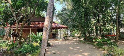 Negombo Apartment | Nature love Negombo