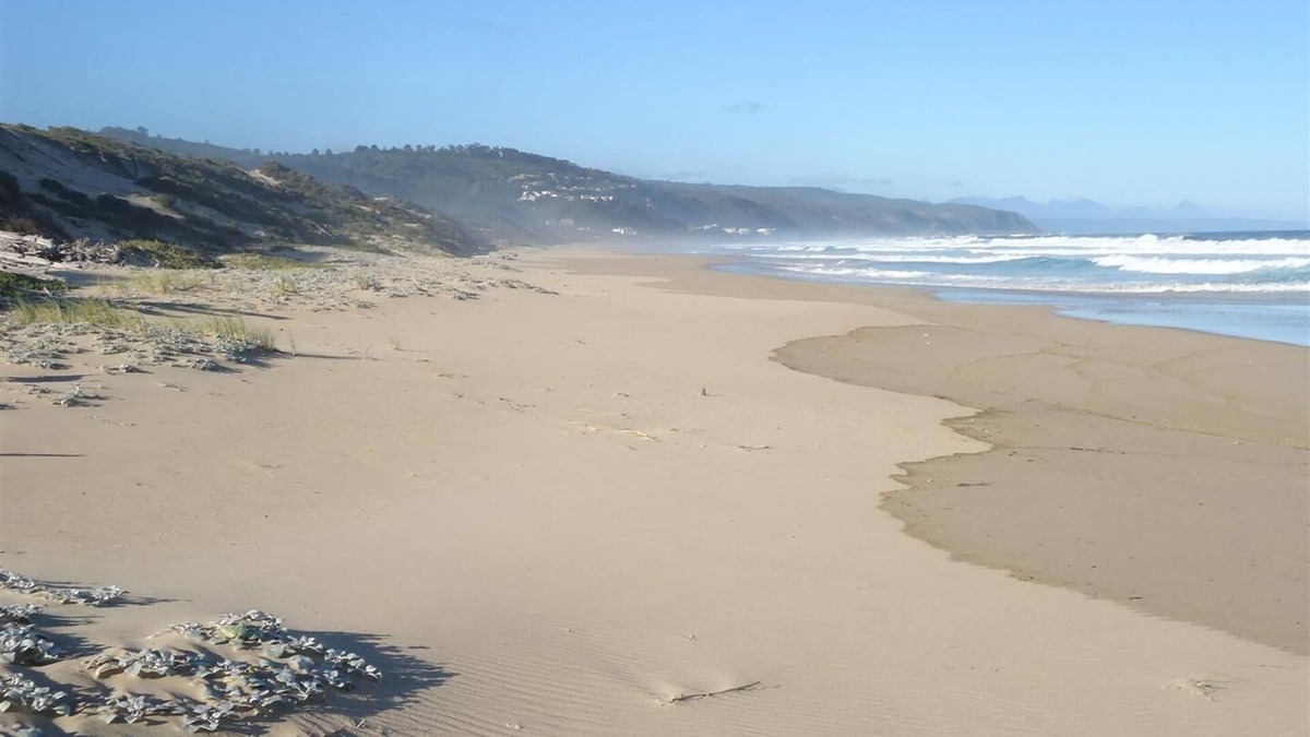 Keurboomstrand Apartment | Nature Lover's Paradise! 100m to the Beach! Swimming Pool.