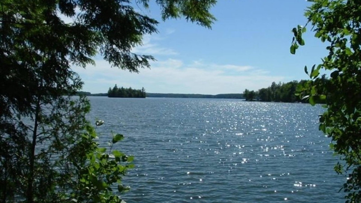 Purgatory Cabin | Nature lovers Paradise your own island