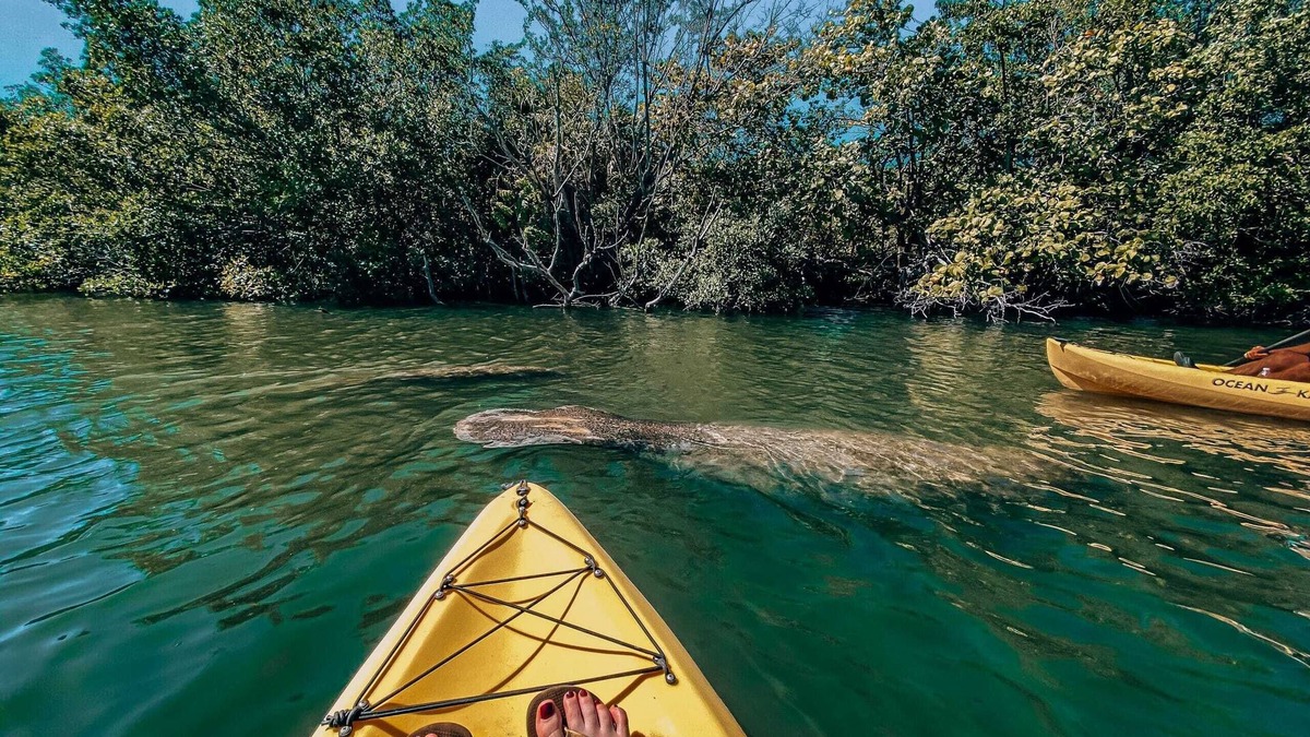 Key Largo Boat Rental | Nature Retreat Sailboat Escape