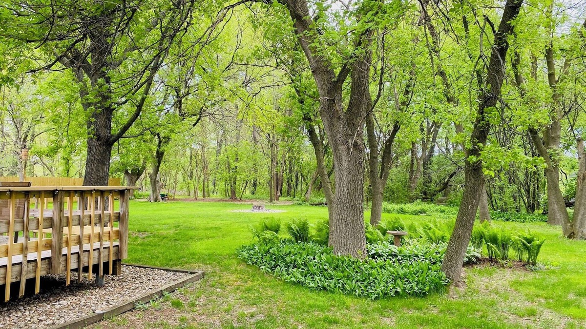 Deerfield House | Nature's Haven, near Madison-pet friendly!