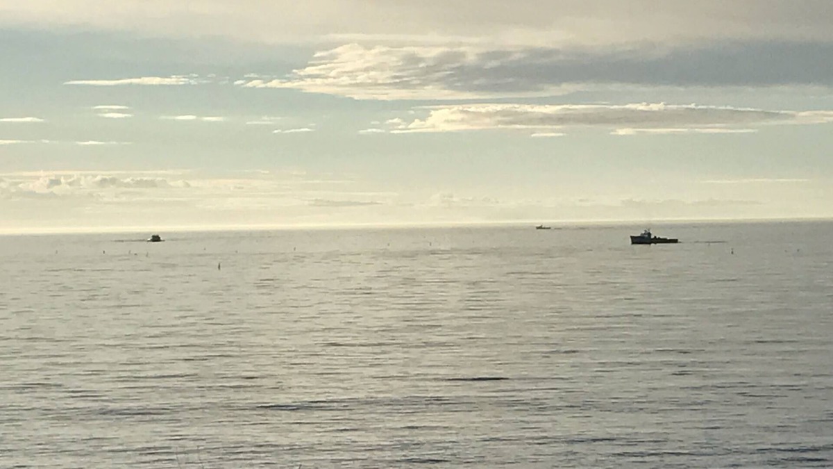 Tignish Cottage | Nature's peace, quiet and serenity. with virtually your own sandy beach!