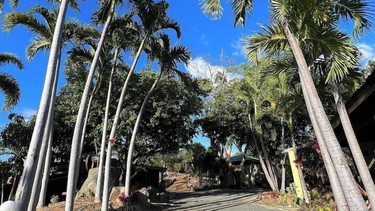 Salinas Villa | Nature's Peaceful Estate, 4 Villa w/Private Pool