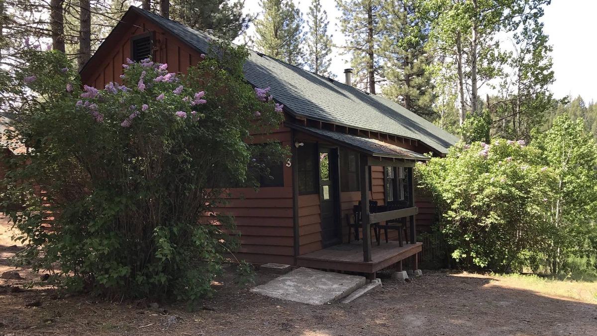 Blairsden-Graeagle Cabin | Nature Sabbatical ~ Cabin with Amazing River Views on 40 Acres