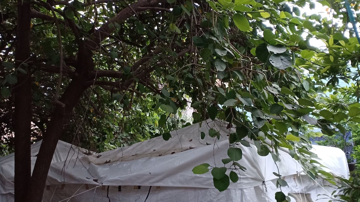 Jodhpur RV Rental | Nature trail camps & homestay