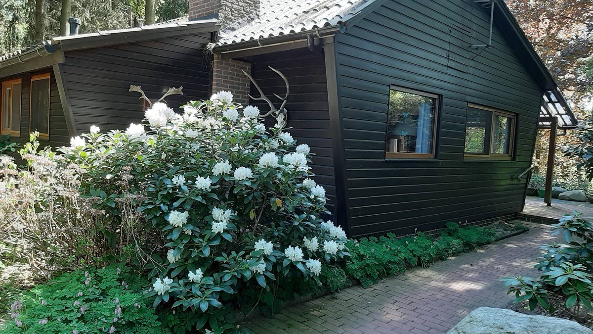 Brockel Cabin | Nature vacation on 23000 m² natural site
