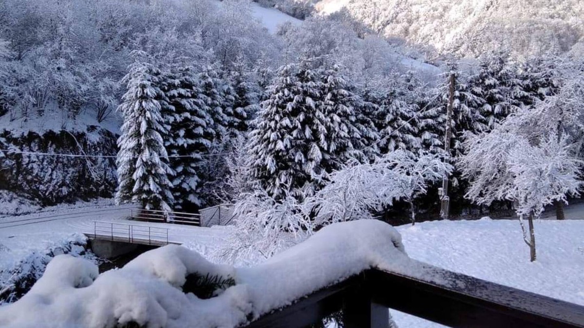 Rau Sadului Cabin | Nature View