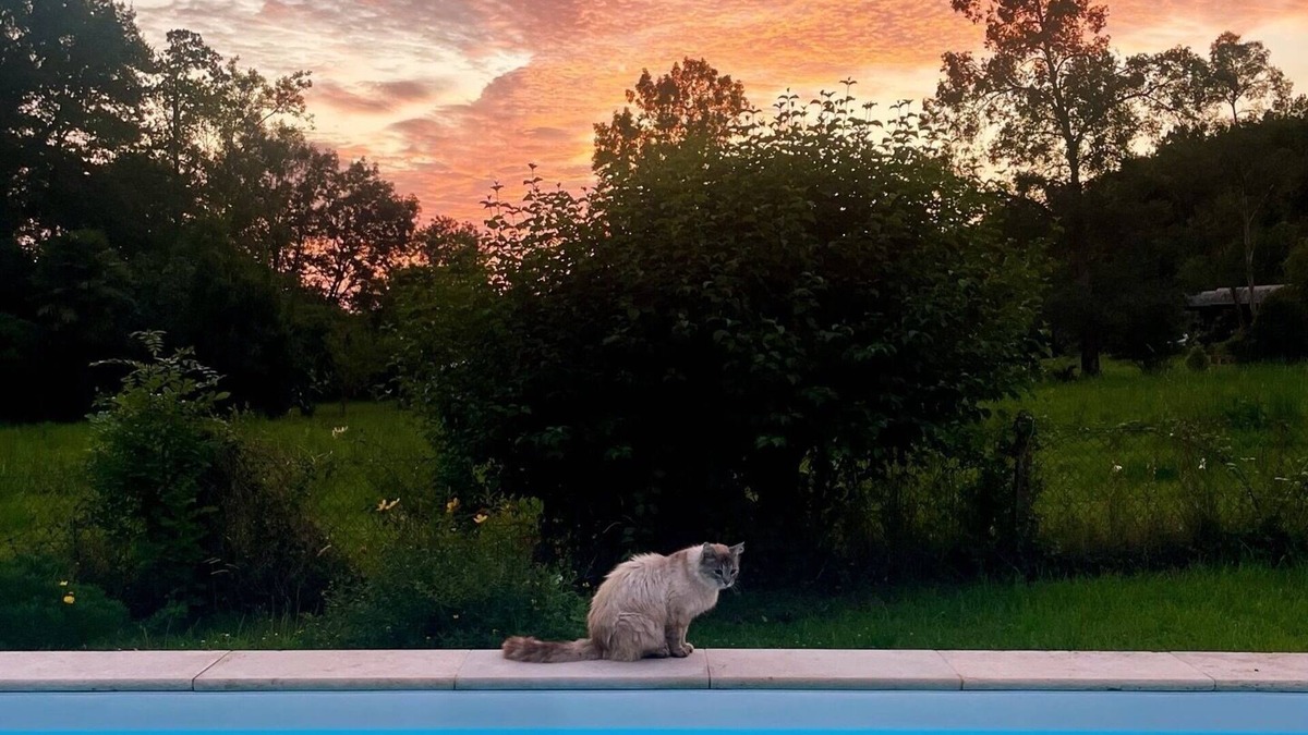 Espoey House | Nature villa with 25m swimming pool between forests and the Pyrenees