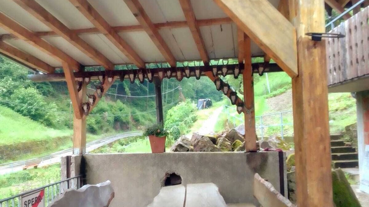 Bad Peterstal-Griesbach Apartment | Naturnahe Ferienwohnung mit Außenbereich. Haustierfreundlich!