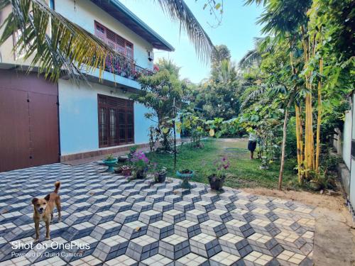 Panadura House | Naturus Villa Thalpitiya