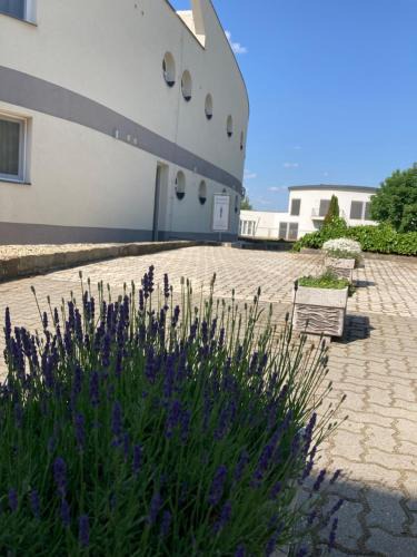 Dabas House | Nautilus Étterem és Panzió