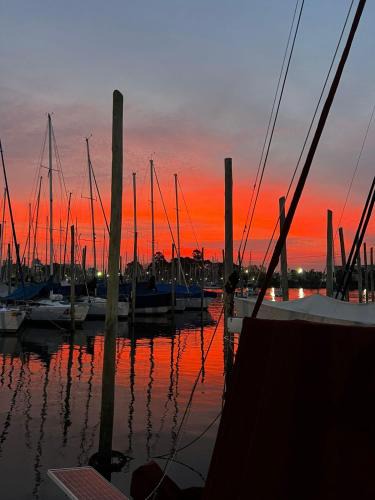 Belgrano Boat Rental | Navegando Buenos Aires