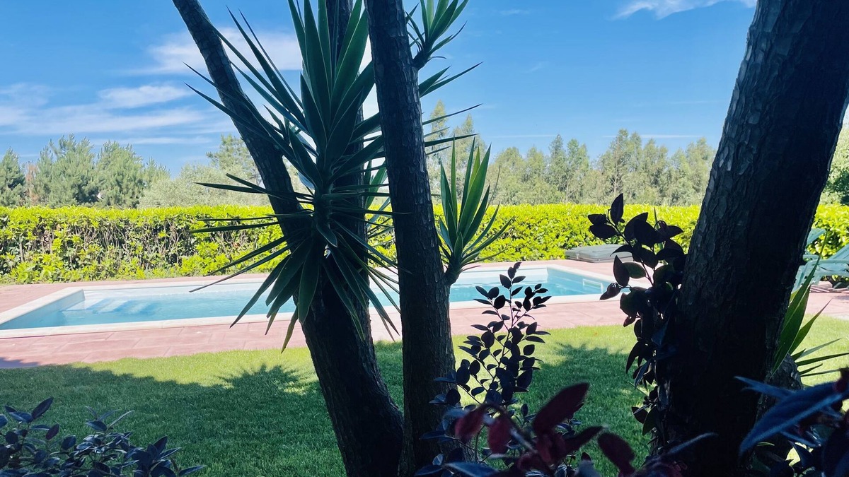 Paco Ski Chalet | Near the beach-Pets allowed