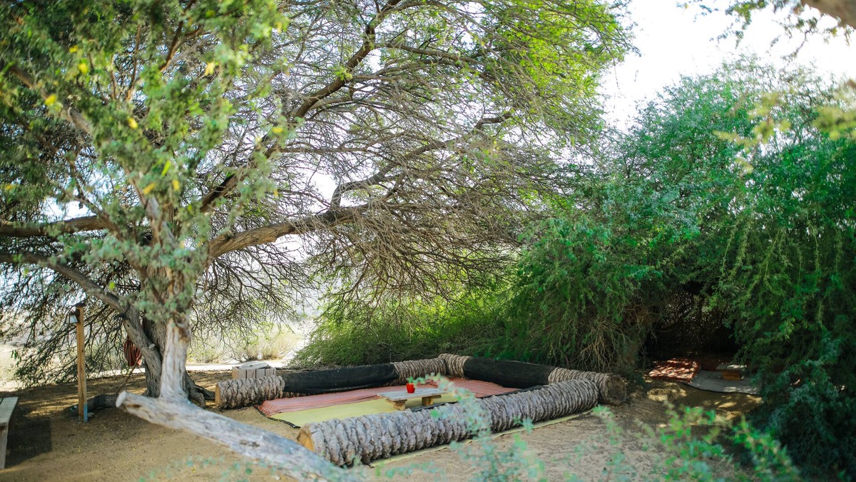 Dimona House | Negev Camel Ranch