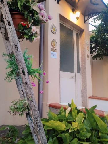 Belvedere Apartment | Nel giardino di Nunziatina