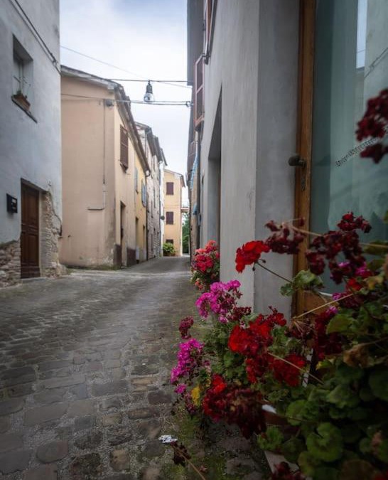 Fossombrone House | Nel tranquillo centro d'Isola