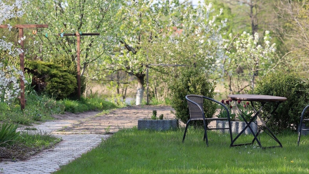 Mikolajki Condo | Nenufar - Pokoje blisko lasu