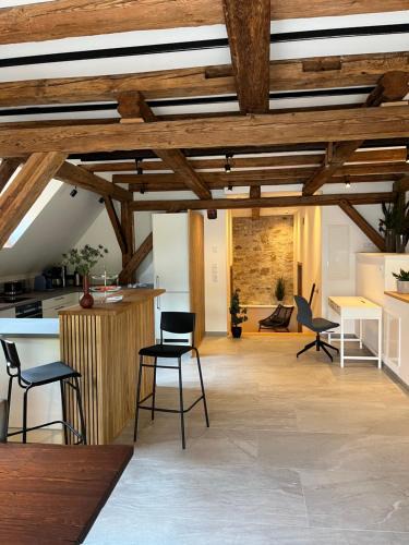 Iphofen Apartment | Neu - Wenkheimer Hof Scheunen-Loft