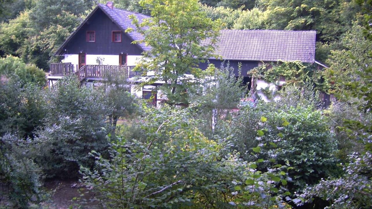 Immerath Apartment | Neumühle vacation apartment with roof terrace, located in the Üßbachtal valley in the nature reserve