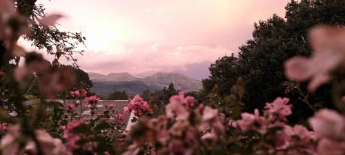 Hogsback House | Never Daunted
