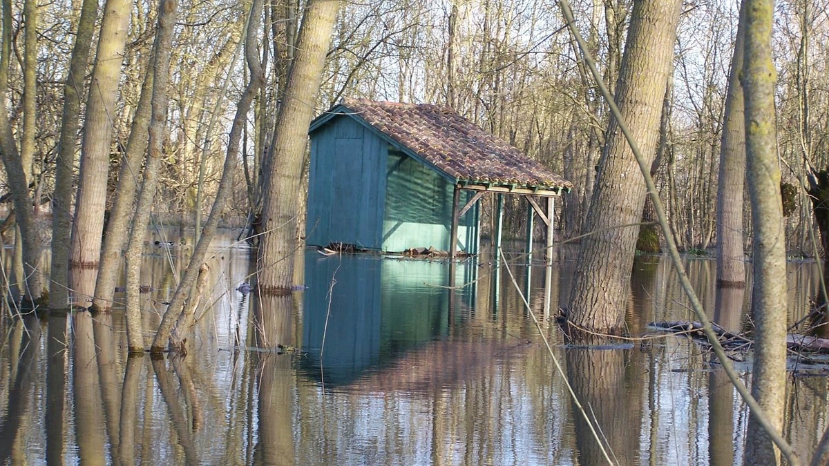 Saint-Hilaire-la-Palud House | New, air-conditioned, PRM accessible, 6 people, 400 € min, Marais poitevin