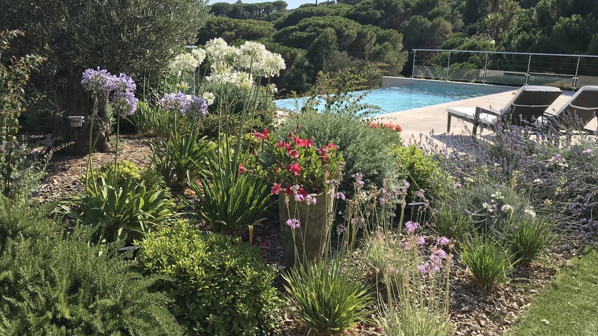 La Nartelle House | New announcement! Residential house in a green setting